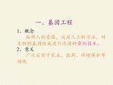 蘇教版生物八年級(jí)下冊(cè) 第二十四章 第一節(jié) 現(xiàn)代生物技術(shù)的應(yīng)用(10)-課件