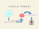 蘇教版生物八年級(jí)下冊(cè) 第二十四章 第一節(jié) 現(xiàn)代生物技術(shù)的應(yīng)用(10)-課件