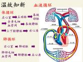 苏教版生物八年级下册 第二十五章 第二节 威胁健康的主要疾病-课件