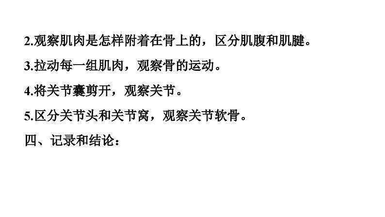 人教版生物八年级下册 实验一观察骨、关节和肌肉课件第3页