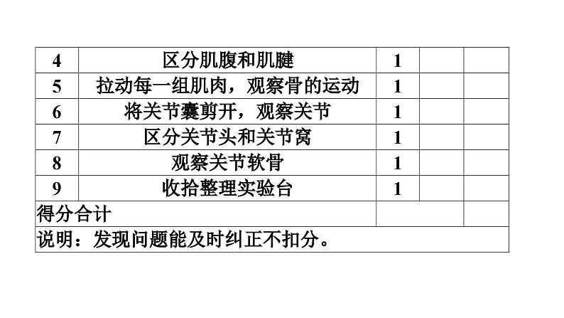 人教版生物八年级下册 实验一观察骨、关节和肌肉课件第5页