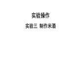 人教版生物八年級下冊 實(shí)驗三 制作米酒課件