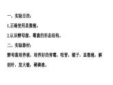 人教版生物八年級下冊 實(shí)驗二 觀察酵母菌和青霉課件