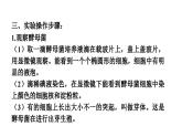 人教版生物八年級下冊 實(shí)驗二 觀察酵母菌和青霉課件