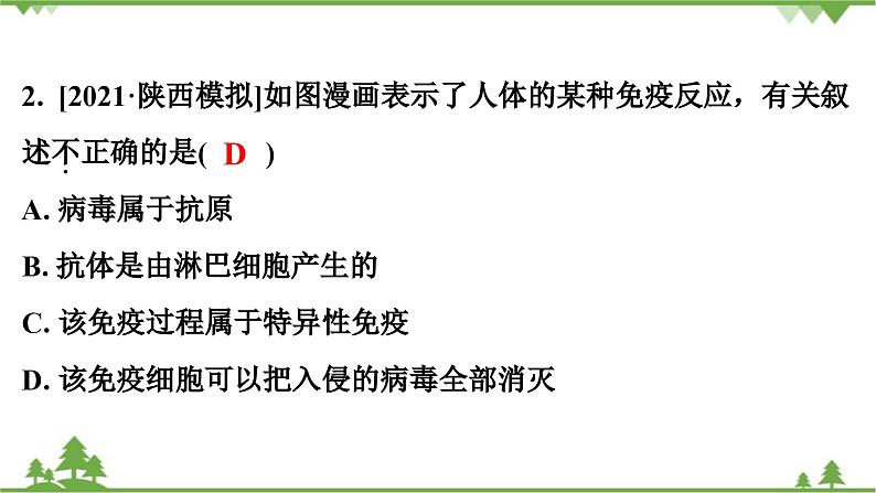 人教版生物八年级下册 第8单元  第1章  第2节　第1课时　人体的三道防线与免疫类型习题课件第3页