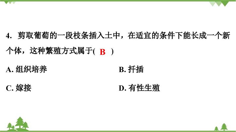 人教版生物八年级下册 第7单元   第1章测试卷课件PPT05