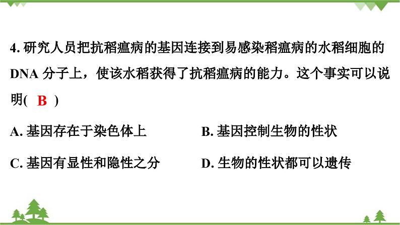 人教版生物八年级下册 第7单元   第2章测试卷课件PPT05