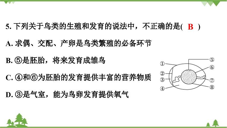 人教版生物八年级下册 期末测试卷(1)课件PPT第6页