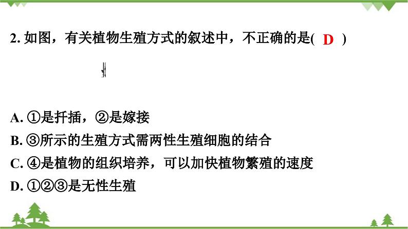 人教版生物八年级下册 期末测试卷(2)课件PPT第3页