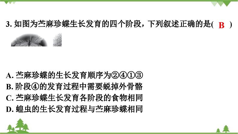 人教版生物八年级下册 期末测试卷(2)课件PPT第4页