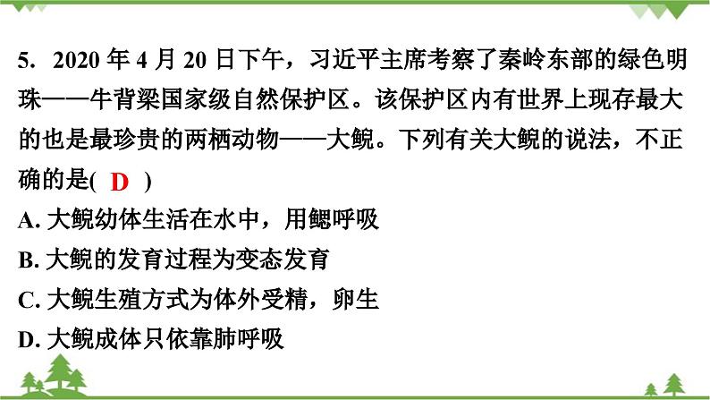 人教版生物八年级下册 期末测试卷(2)课件PPT第6页