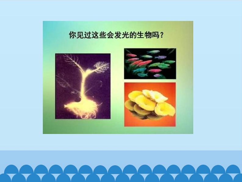 苏教版生物八年级下册 第二十四章 第一节 现代生物技术-课件04