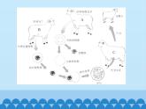 蘇教版生物八年級(jí)下冊(cè) 第二十四章 第一節(jié) 現(xiàn)代生物技術(shù)-課件