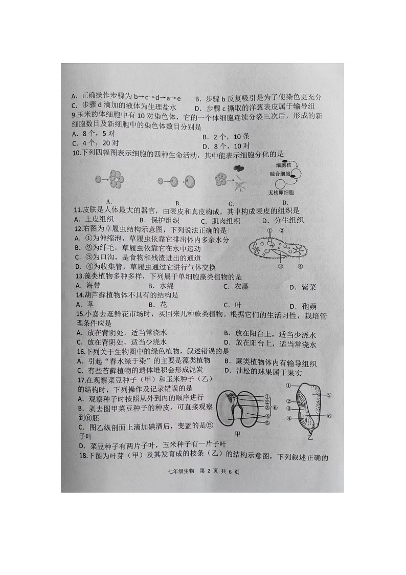 陕西省商洛市商南县2023-2024学年七年级上学期期末生物试题第2页