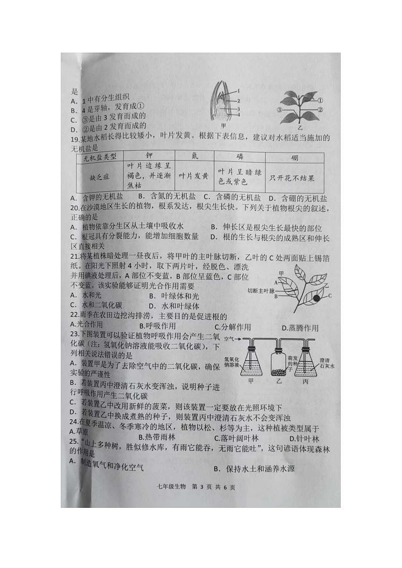 陕西省商洛市商南县2023-2024学年七年级上学期期末生物试题第3页