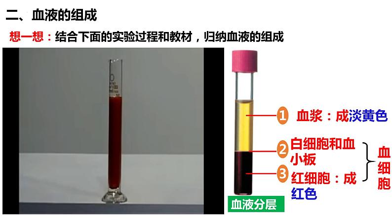 人教版生物七年级下册 4.4.1 流动的组织—血液 同步课件+视频素材06