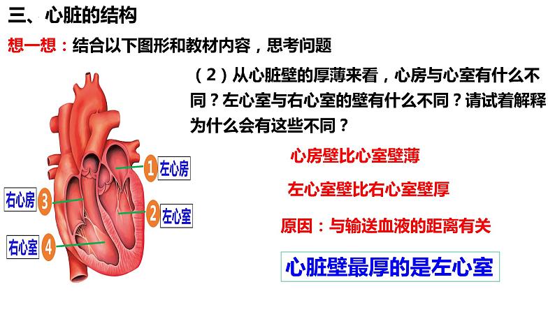 人教版生物七年级下册 4.4.3 输送血液的泵——心脏（第1课时） 同步课件+视频素材08