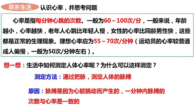 人教版生物七年级下册 4.4.3 输送血液的泵——心脏（第2课时） 同步课件+视频素材07