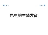 期末复习+课件2023--2024学年京改版生物八年级上册
