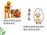 8.2+食物的消化和营养物质的吸收课件2023--2024学年北师大版生物七年级下册