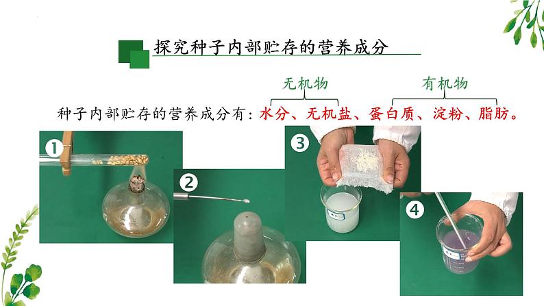 8.1人类的食物课件2023--2024学年北师大版生物七年级下册第6页