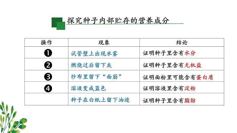 8.1人类的食物课件2023--2024学年北师大版生物七年级下册第7页