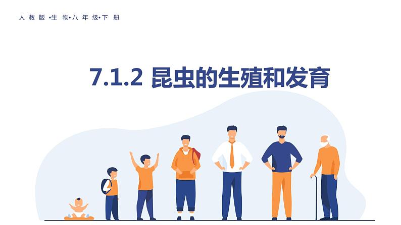 7.1.2昆虫的生殖和发育课件2023--2024学年人教版生物八年级下册第1页