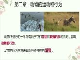 5.2.1动物的运动课件2023--2024学年人教版生物八年级上册