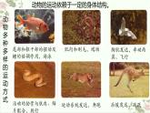 5.2.1动物的运动课件2023--2024学年人教版生物八年级上册