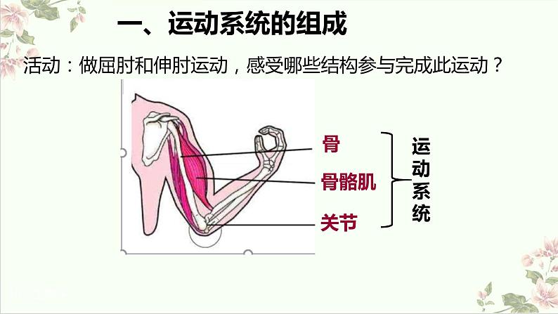 5.2.1动物的运动课件2023--2024学年人教版生物八年级上册第5页