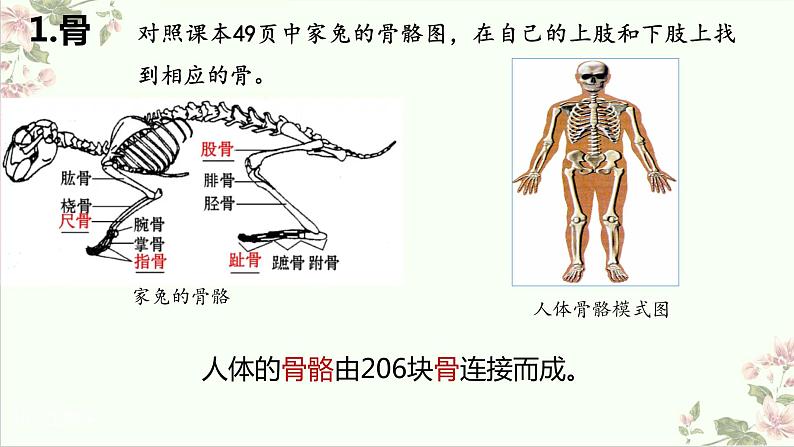 5.2.1动物的运动课件2023--2024学年人教版生物八年级上册第6页