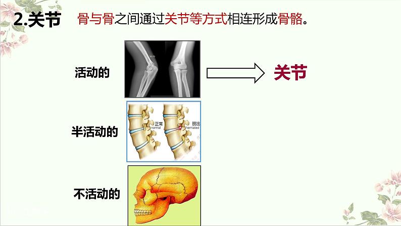 5.2.1动物的运动课件2023--2024学年人教版生物八年级上册第7页