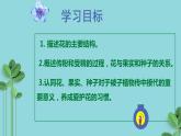 3.2.3开花和结果课件2023--2024学年人教版生物七年级上册