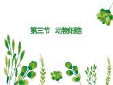 2.1.3动物细胞课件2023--2024学年人教版生物七年级上册