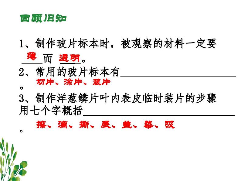 2.1.3动物细胞课件2023--2024学年人教版生物七年级上册第2页