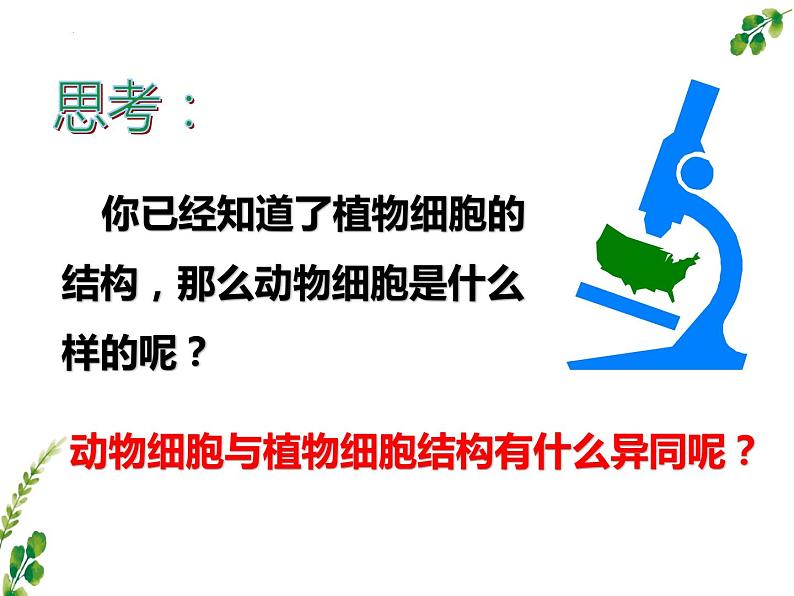 2.1.3动物细胞课件2023--2024学年人教版生物七年级上册第4页