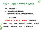 2.1.3动物细胞课件2023--2024学年人教版生物七年级上册