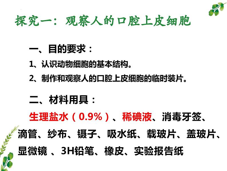 2.1.3动物细胞课件2023--2024学年人教版生物七年级上册第5页