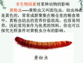 1.2.1生物与环境的关系+第2课时课件2023--2024学年人教版生物七年级上册