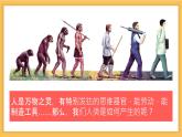 4.1.1人类的起源和发展课件2023--2024学年人教版生物七年级下册