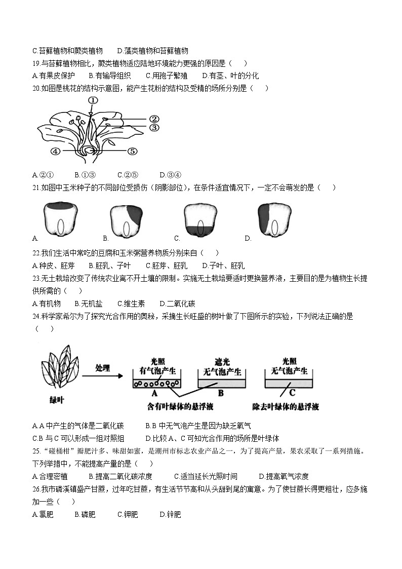 广东省潮州市潮安区2023-2024学年七年级上学期期末考试生物试题第3页