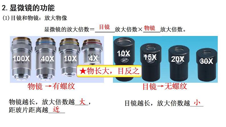 专题01 生物体的结构层次（过课件）-备战2024年中考生物新课标专题过过过05