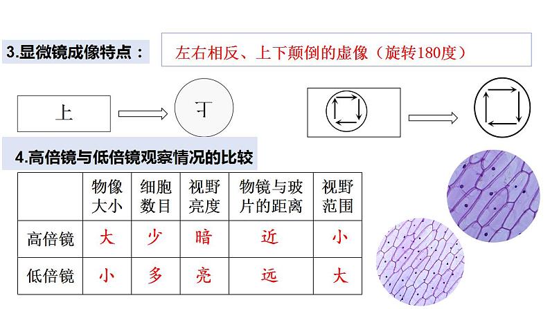 专题01 生物体的结构层次（过课件）-备战2024年中考生物新课标专题过过过07