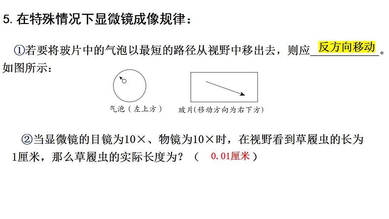 专题01 生物体的结构层次（过课件）-备战2024年中考生物新课标专题过过过08