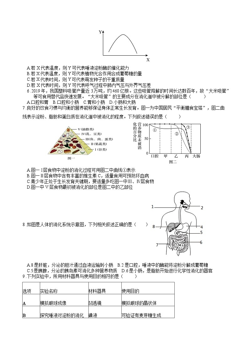 专题04 生物圈中的人（一）人的生活需要营养（原卷版）第2页
