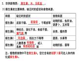 专题04 生物圈中的人（一）人的生活需要营养（过课件）-备战2024年中考生物新课标专题过过过