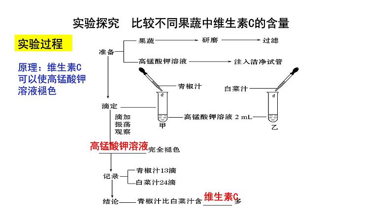 专题04 生物圈中的人（一）人的生活需要营养（过课件）-备战2024年中考生物新课标专题过过过第8页