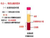 专题04 生物圈中的人（三）人体内的物质运输（过课件）-备战2024年中考生物新课标专题过过过