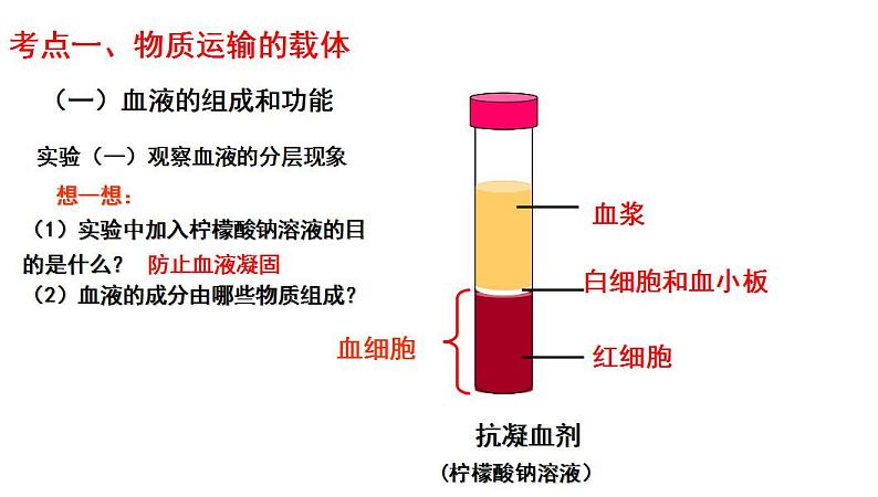 专题04 生物圈中的人（三）人体内的物质运输（过课件）-备战2024年中考生物新课标专题过过过04