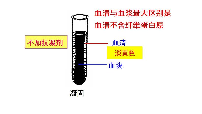 专题04 生物圈中的人（三）人体内的物质运输（过课件）-备战2024年中考生物新课标专题过过过05